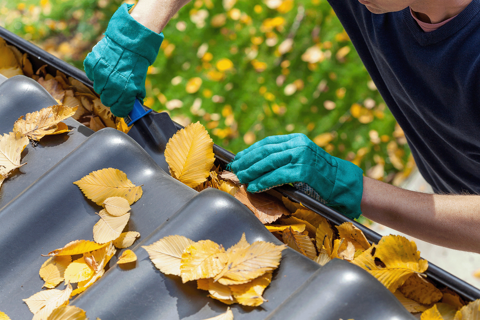 5 Weekend Tasks To Get Your Home Ready For Cold Weather   Blog Cleaning Gutters 